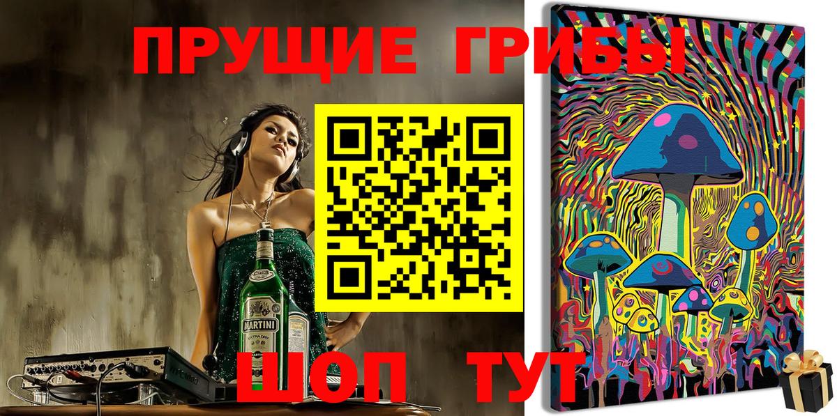 Псилоцибиновые грибы Cubensis Карачаевск